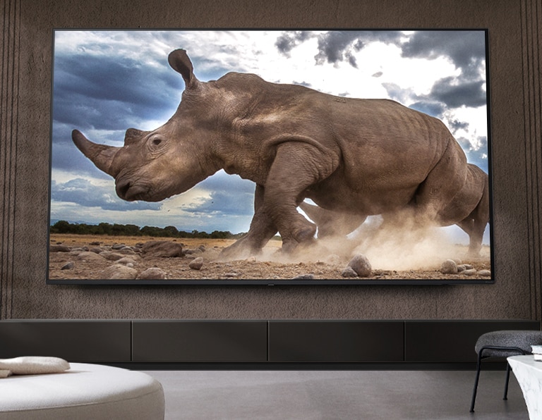 En noshörning i safarimiljö visas på en ultrastor LG TV, monterad på en brun vägg i ett vardagsrum omgivet av krämfärgade modulmöbler.