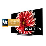 LG OLED 4K TV - 55", OLED55B8PLA