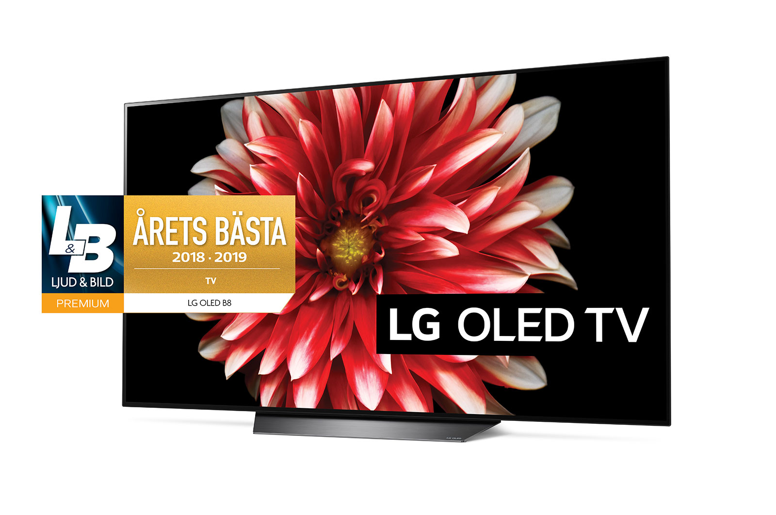 LG OLED 4K TV - 55", OLED55B8PLA