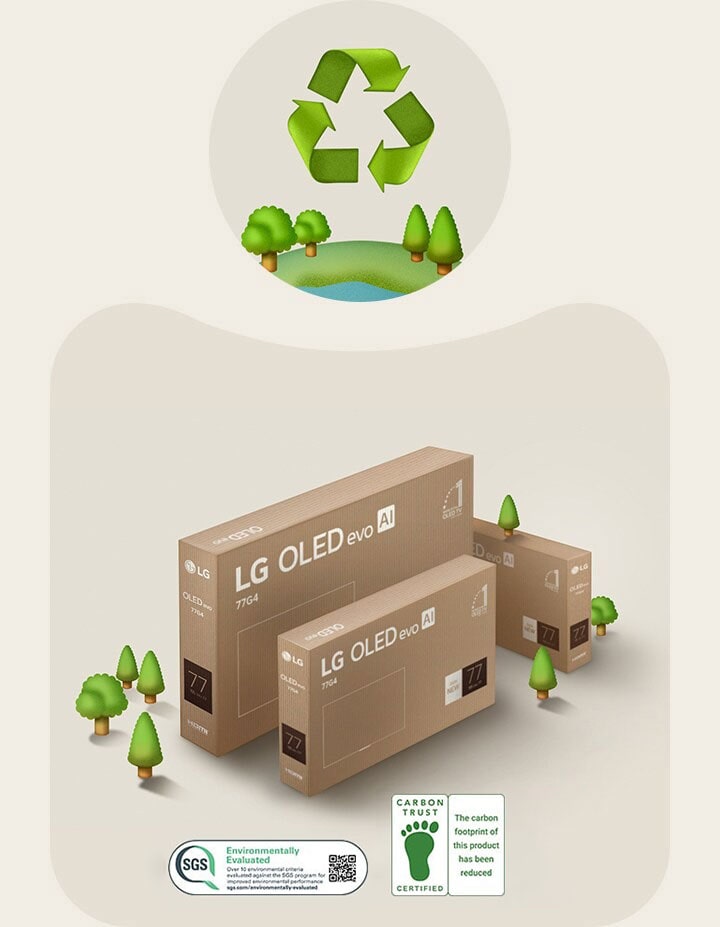 LG OLED-förpackning mot en beige bakgrund med illustrerade träd.