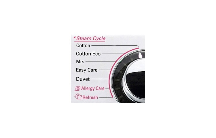 LG 1-8 kg Steam 6 Motion Direct Drive tvättmaskin, F14A8TDSA