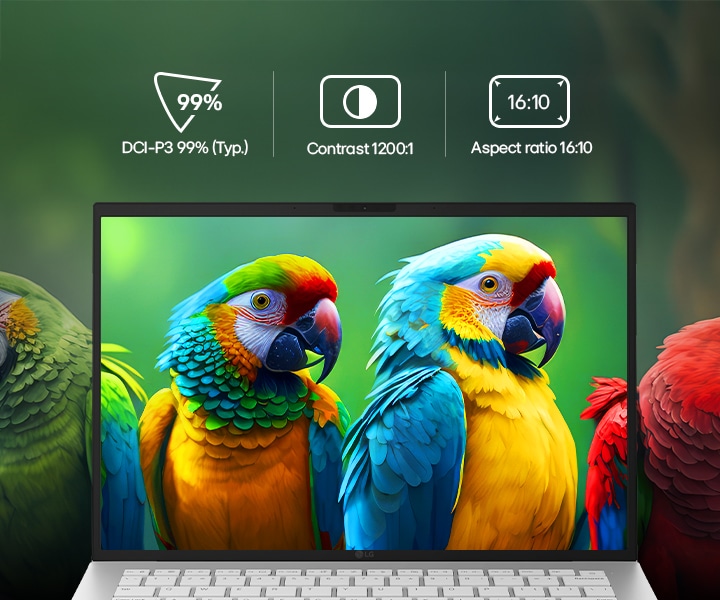 This image shows the display of the gram 14 inch laptop from the front, featuring colorful parrots set against a light green background, highlighting vivid colors and fine detail. Above the screen, icons represent key display specifications, including DCI-P3 99% (Typ.) color gamut, 1200:1 contrast, and 16:10 aspect ratio, indicating the display’s color range, contrast, and aspect ratio.