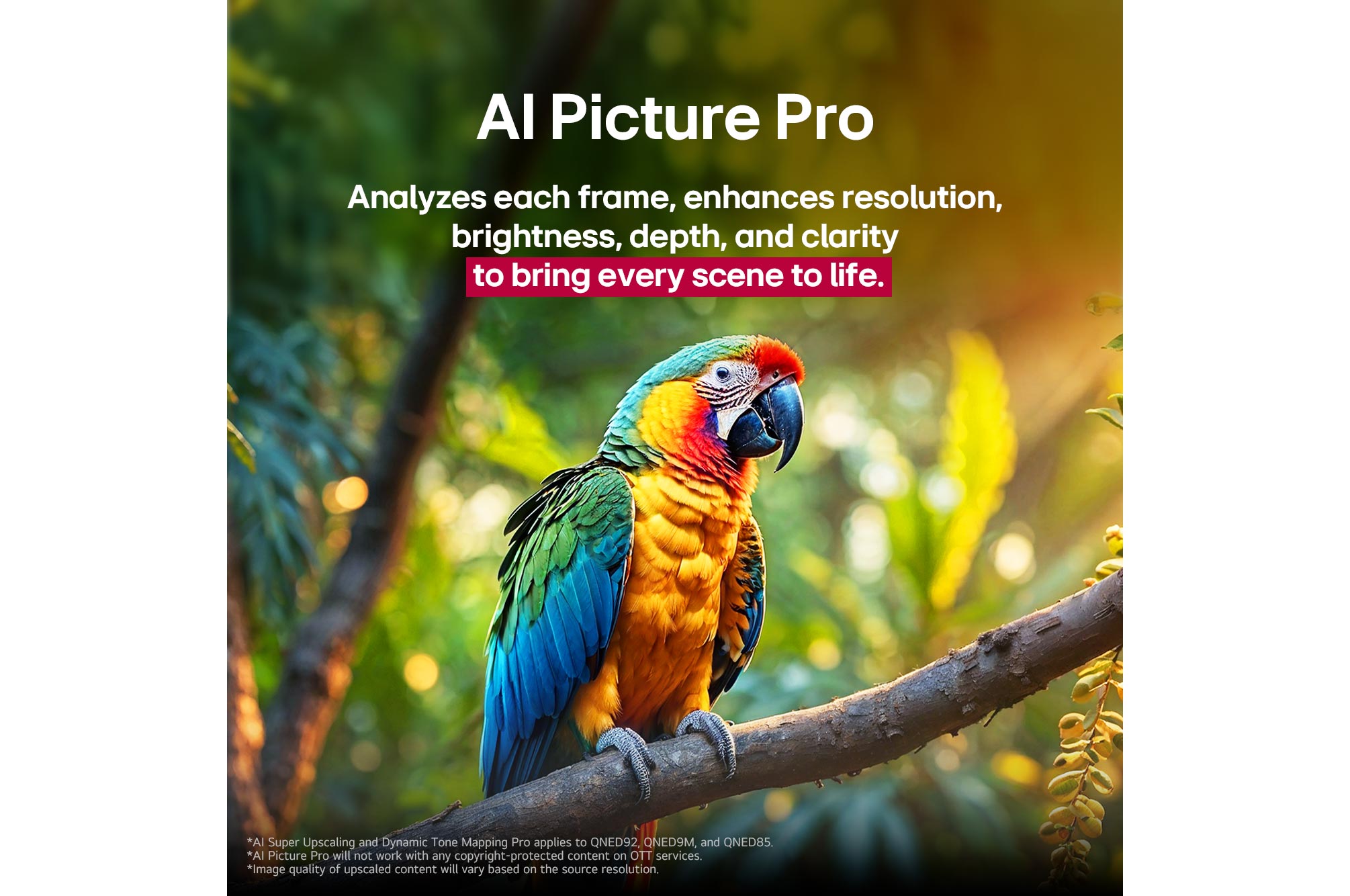 Parrot on a tree branch in vivid color. The title talks about how LG Al Picture Pro made impressive visual enhancements to the scene's resolution, brightness, depth, and clarity.