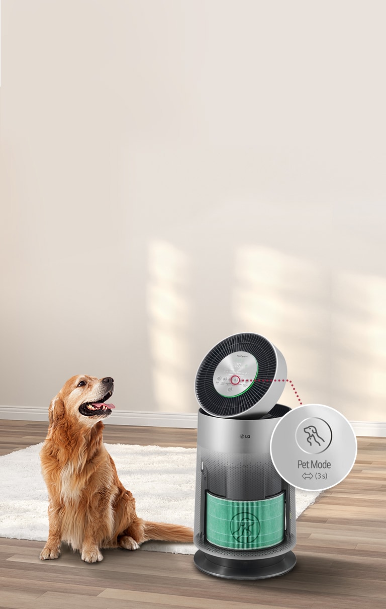 Pet odor purifier sale
