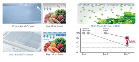 MOIST BALANCE CRISPER