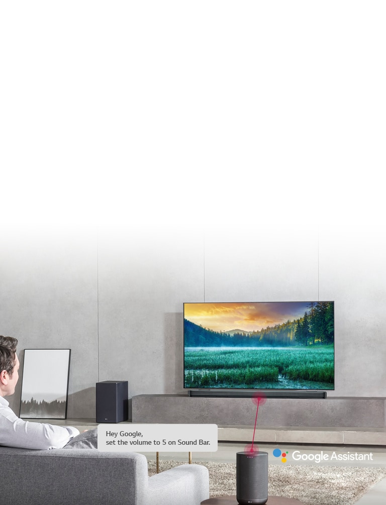 Lg sk9y deals google assistant
