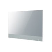 LG Transparent OLED Signage, 55EW5G-V