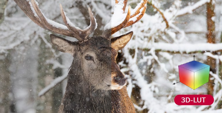 Using 3D-LUT the color combination becomes more abundant, making color reproduction more accurate.