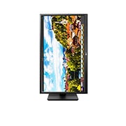 LG 27" Full HD IPS Desktop Monitor, 27BK550Y-B