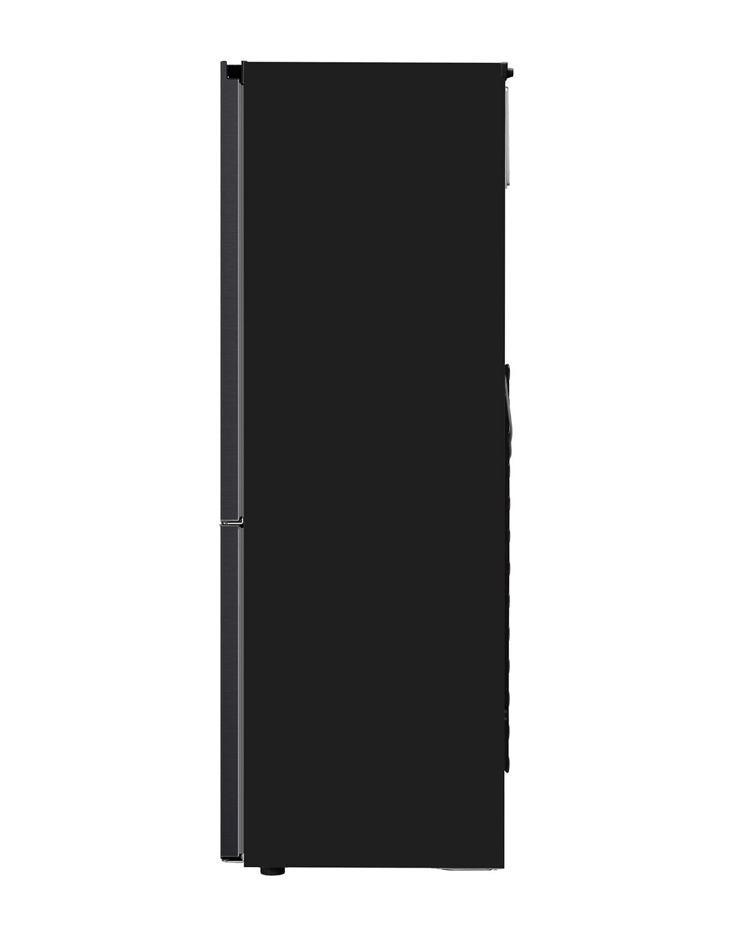 341L Bottom Freezer with Fresh Zone in Matt Black LG SG