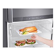 LG 438L Top Freezer with Inverter Linear Compressor in Platinum Silver, GT-B4387PZ