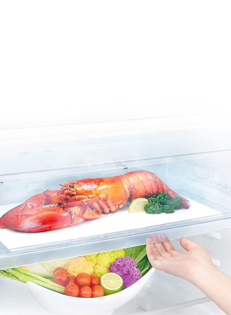 Save Your Time for Defrosting