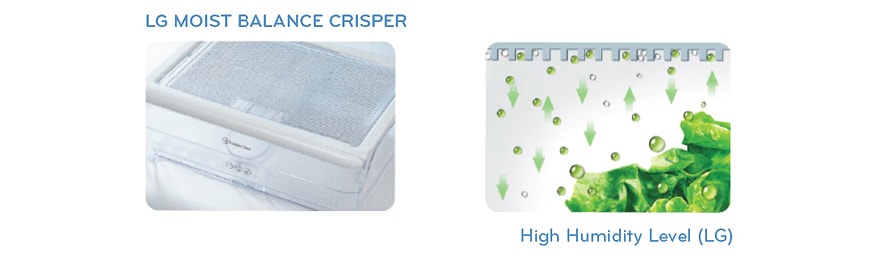 The Benefits of a Moist Balance™ Crisper