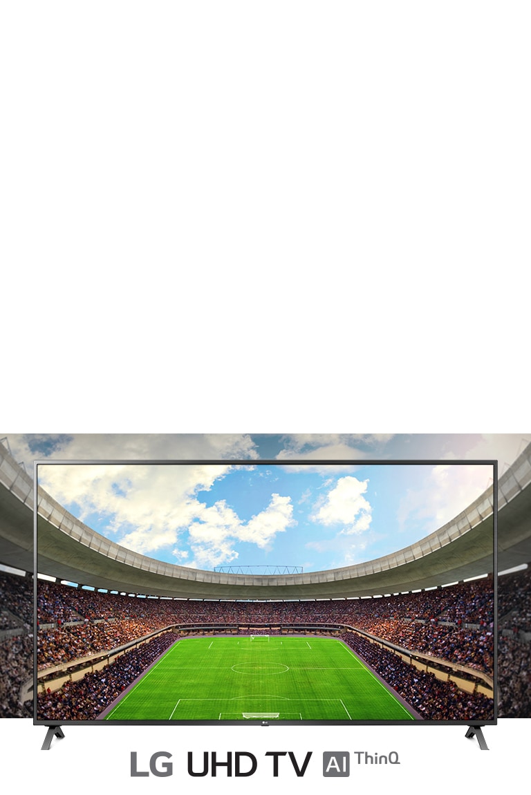 A panoramic view of the soccer stadium filled with spectators  shown inside a TV frame.