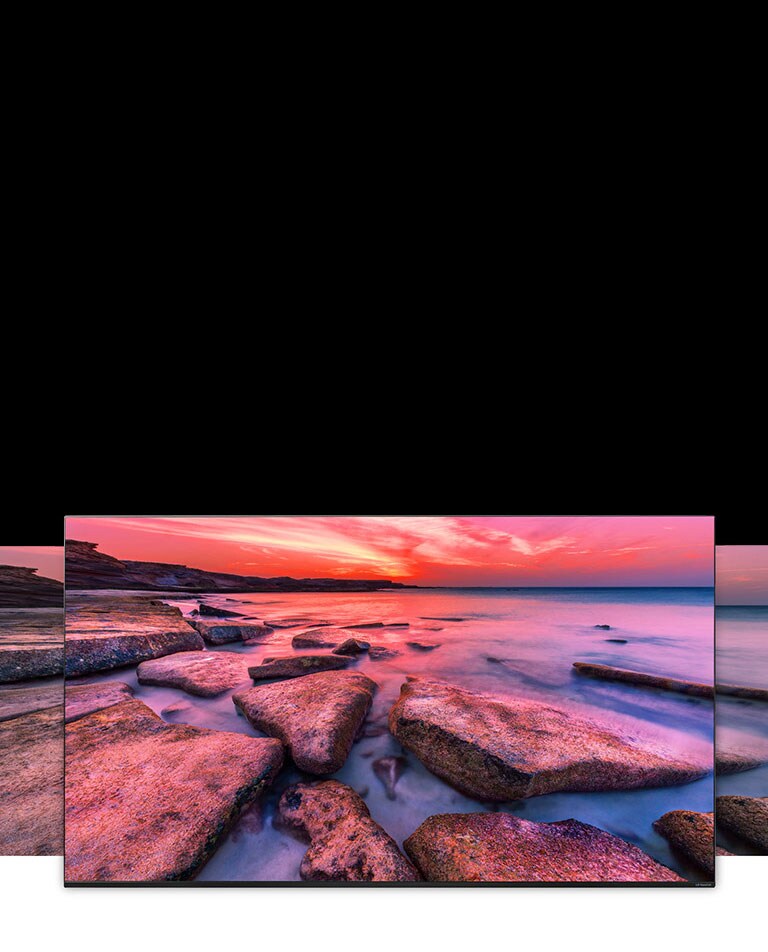 TV screen showing the wide view of nature