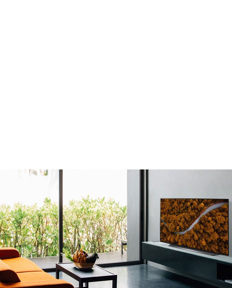 Living room with a sofa and a TV showing an aerial view of nature