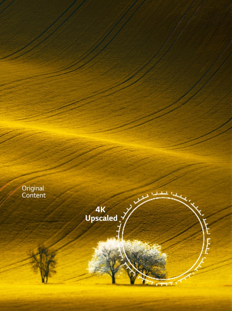 Une vue de la nature, comparez la qualité d'image à celle du contenu non 4K et du contenu 4K amélioré.