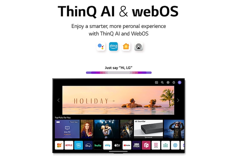 LG QNED TV Mini LED QNED91 65 inch 4K Smart TV | Wall mounted TV | TV wall design | Ultra HD 4K resolution | AI ThinQ , 65QNED91SQA