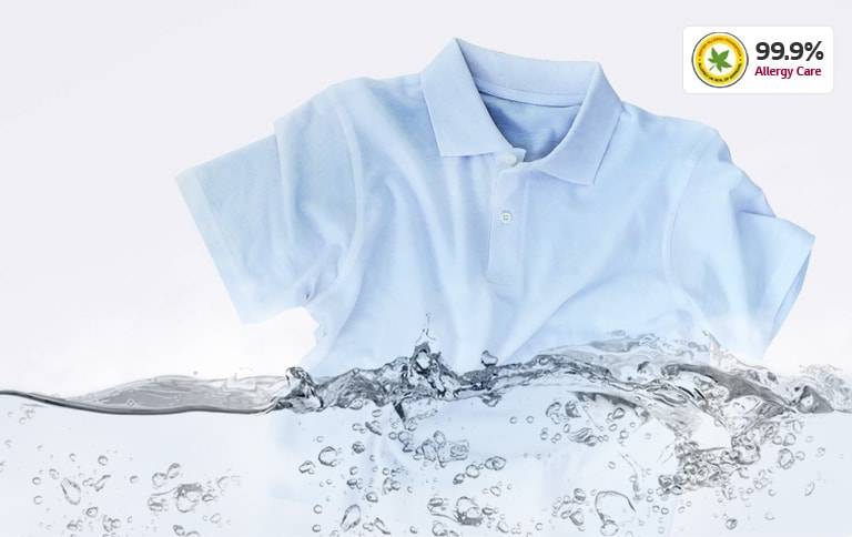 Stain & Allergy Care with Steam