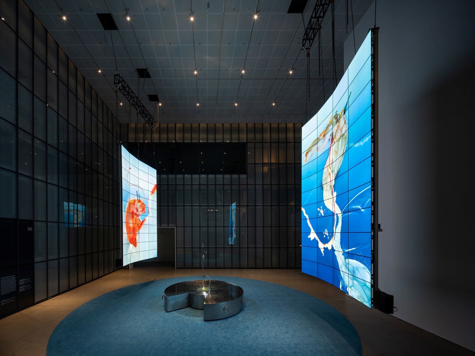 mmca-x-lg-oled-series