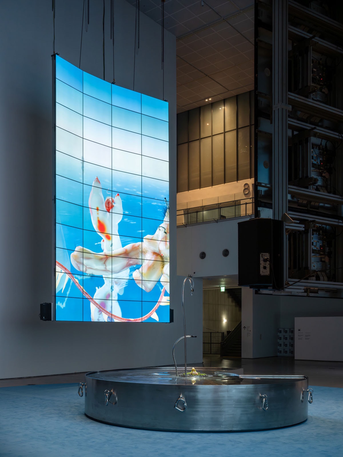 mmca-x-lg-oled-series