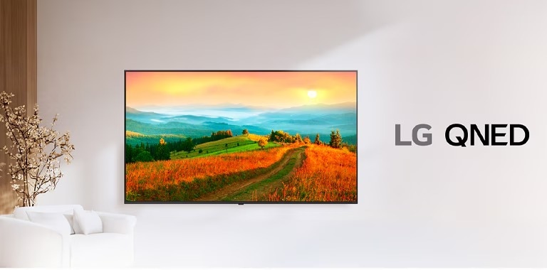 An LG QNED TV displays a screen with vivid colors and accurate color reproduction.