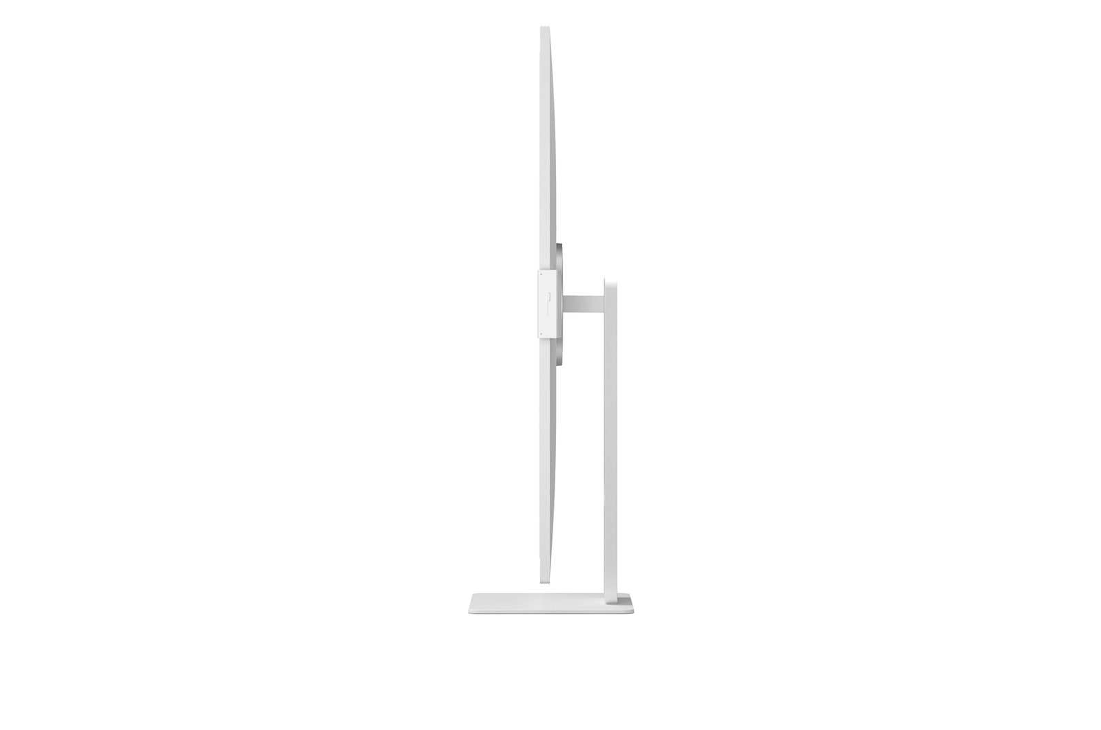 vertical right side view