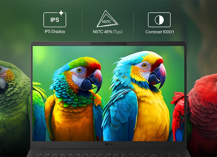 This image shows the front view of the LG gram Book laptop display, featuring colorful parrots set against a green background to highlight vivid colors and fine detail. Above the screen, icons indicate key display specifications, including an IPS display, NTSC 45% (Typ.) color gamut, and 1000:1 contrast ratio, emphasizing balanced color reproduction and clear contrast.