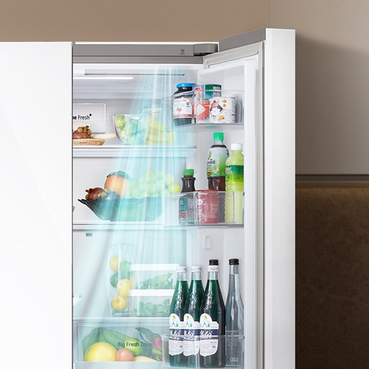 Delivers Freshness Evenly & Faster