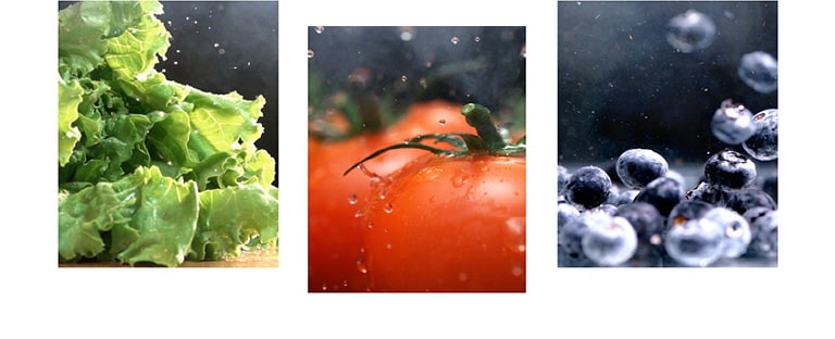 fruits and vegetables such as lettuce, tomatoes, and blueberries are freshly preserved in the product.