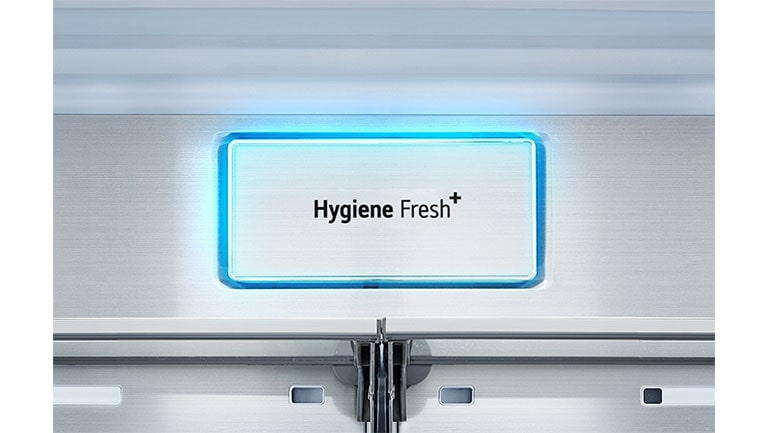 Highlighted Hygiene Fresh+ Metal Decoration inside