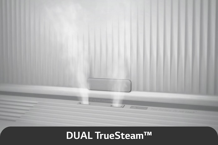 DUAL True Steam®