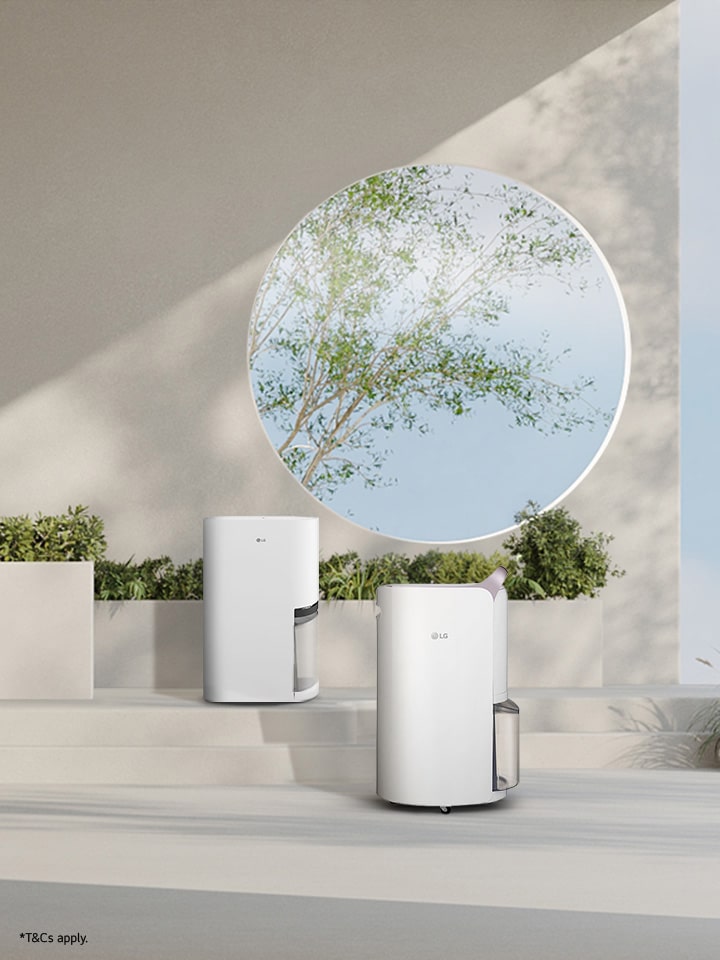 Healthier Air, Happier Days on Dehumidifier Deal