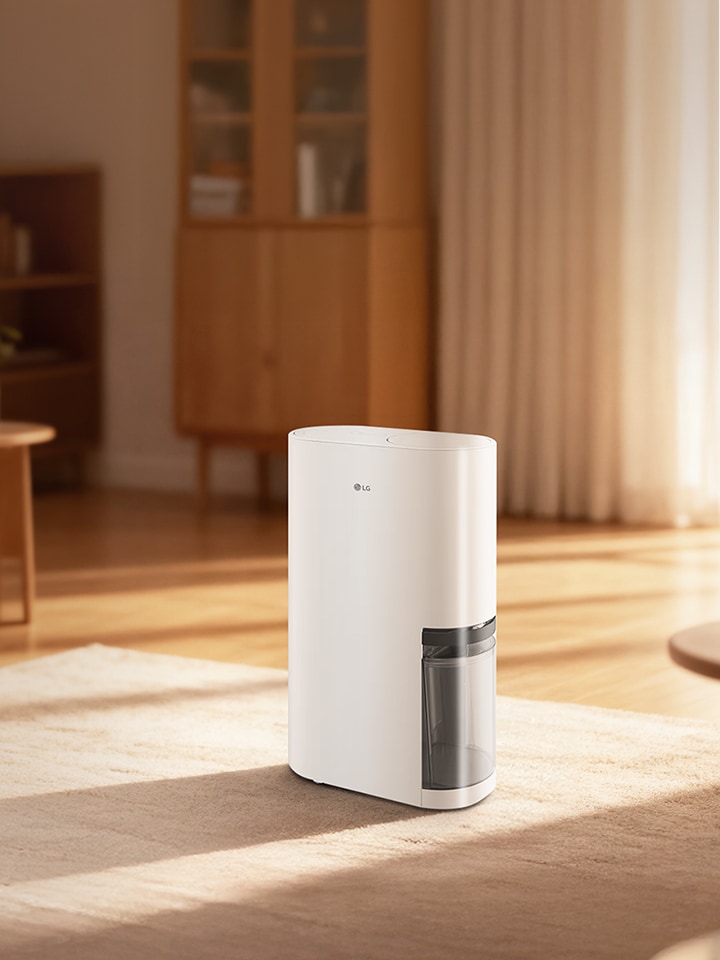 Combat humidity, mould & mildew for healthier air