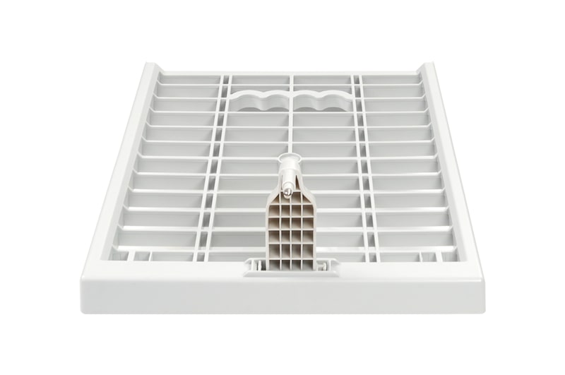 มุมมองด้านหลัง