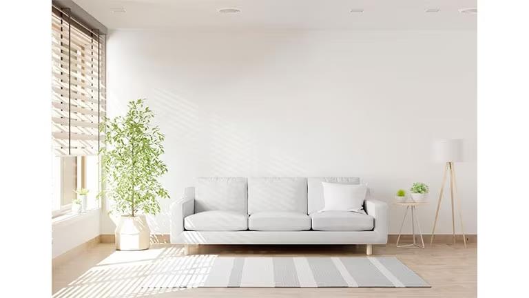 ideas-for-decorating-minimalist-living-room-tmbl
