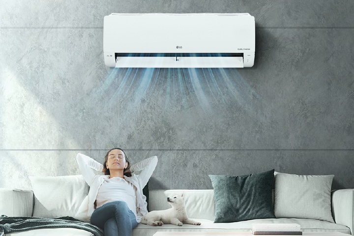 หญิงสาวและสุนัขกำลังนั่งเล่นผ่อนคลายอยู่บนโซฟา ในห้องที่แอร์ LG กำลังทำงานอยู่