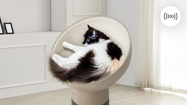 ภาพแมวนั่งในโดมของเครื่องฟอกอากาศในห้องนั่งเล่น