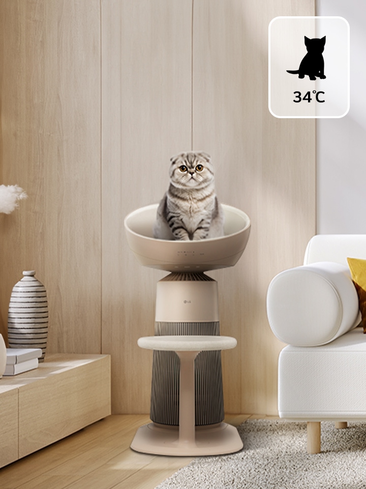 ภาพลูกแมวนั่งบนแคปซูลอุ่น (34°C) ของเครื่องฟอกอากาศใกล้โซฟาในห้องนั่งเล่น