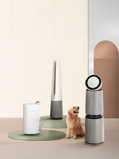 เจฟ ซาเตอร์และสุนัขลาบราดอร์ในห้องที่มีเครื่องฟอกอากาศ LG 3 แบบ