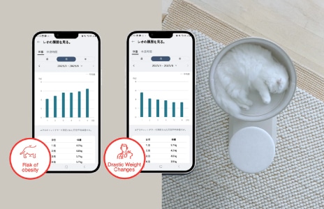 การติดตามน้ำหนักน้องแมว