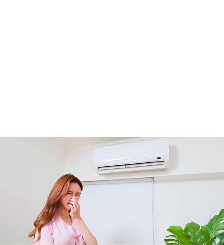 แอร์มีกลิ่นอับ