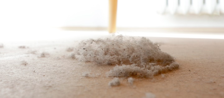 ฝุ่นสะสมอยู่ใต้เตียง
