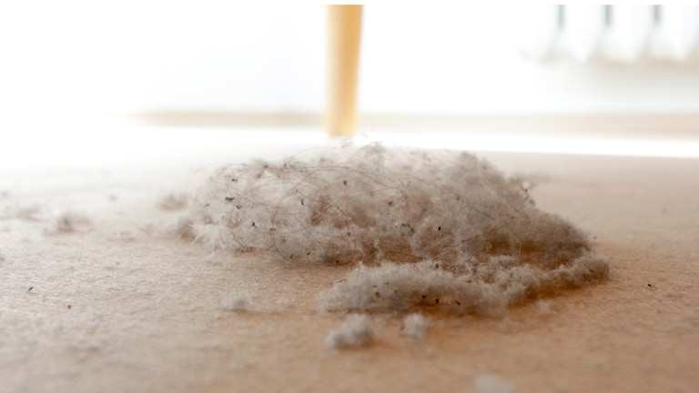 ฝุ่นสะสมอยู่ใต้เตียง