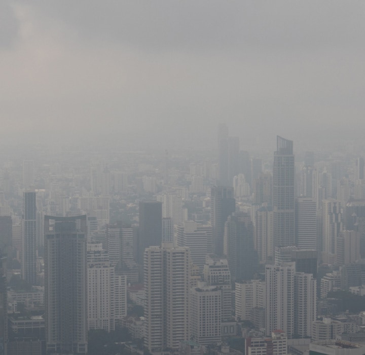 ธีลดฝุ่น PM2.5 ในบ้าน