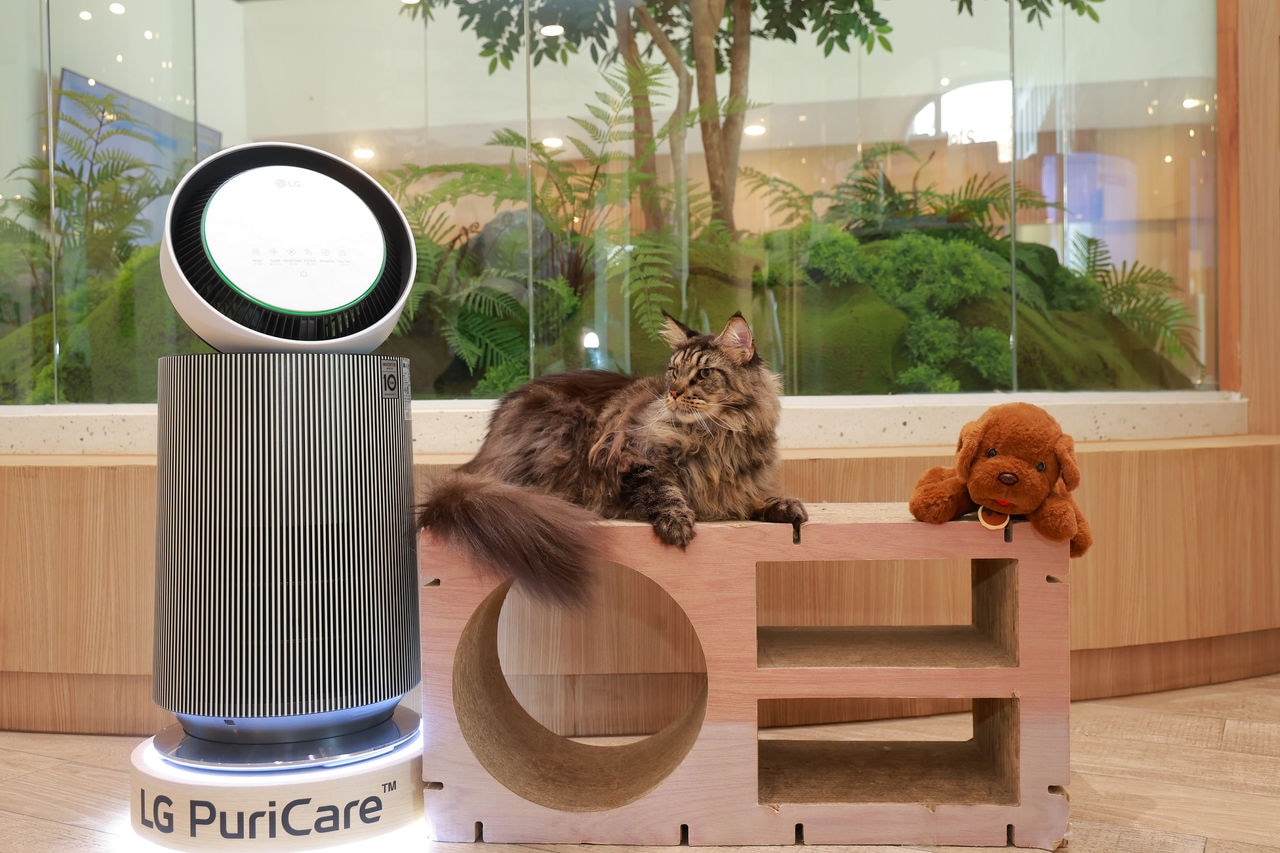 LGxPhyathai_7_Animal_Hospital (1).JPG