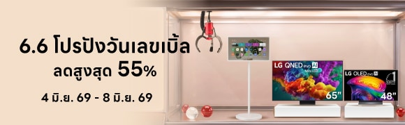 โปรโมชัน 6.6