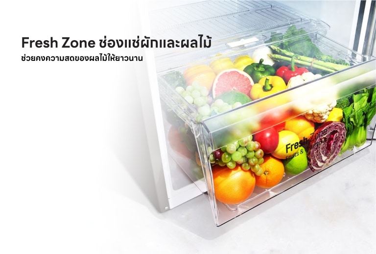 Fresh Zone ช่องผักผลไม้