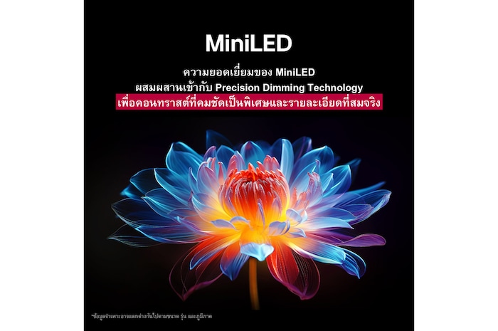 ดอกไม้โฮโลแกรม 3D ในเฉดสีต่างๆ มากมายบนพื้นหลังสีดำ การนิยามและรายละเอียดของดอกไม้แสดงให้เห็นถึงความสามารถของ QNED MiniLED ในการรังสรรค์ภาพด้วยสี ความสว่าง และคอนทราสต์ที่ยอดเยี่ยม หัวข้อพูดถึงการที่ MiniLED ช่วยเพิ่มความคมชัดและให้คอนทราสต์ที่โดดเด่น
