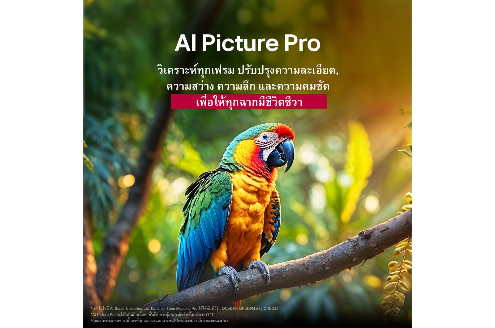 มีนกแก้วบนกิ่งไม้ในสีสันสดใส หัวข้อพูดถึงวิธีที่ LG AI Picture Pro ปรับปรุงภาพให้ดีขึ้นอย่างน่าประทับใจ ทั้งในด้านความละเอียด ความสว่าง มิติความลึก และความคมชัดของฉาก
